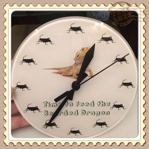 Custom Bearded dragon wall clock. Handmade , new